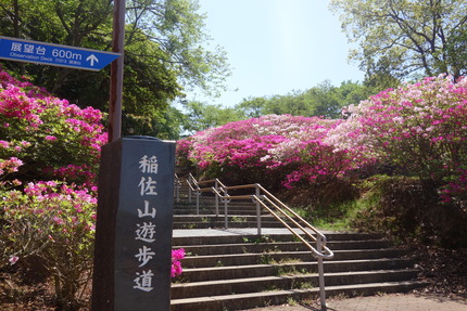8-稲佐山DSC00114