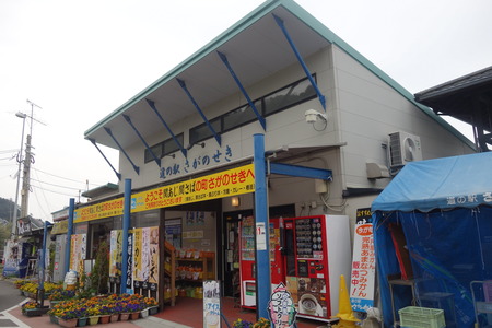 40-£Ö¥Õ¥¡¡¼¥ì¥óĹºê¡¡°¦É²ÀïDSC00654