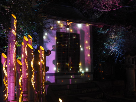 ���Ͳ�������ץ��������ȡ��쾮�Ϳ���P2281507