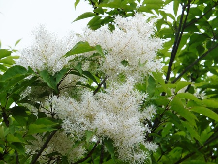 u-8DSCF2334
