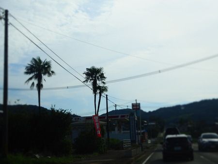 2-���������Į���١����꡼�£ϣ�P9191721