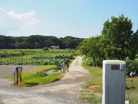 2025.07.22¡¡ëÝÁá»Ô¡¡ÅâÈæ¥Ï¥¹±à¡¡ÁÐÆ¬Ï¡P7230155