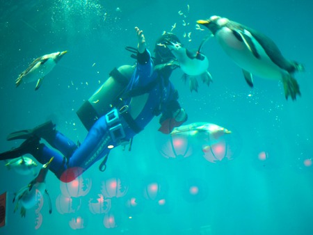 Ĺ��ԡ�Ĺ��ڥ󥮥��²��P2142166