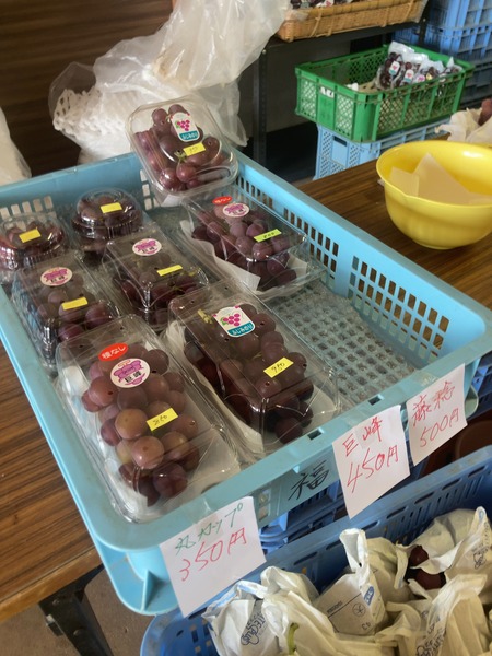 2024.0827 大村市福重IMG_9708