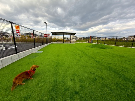 �������Хå��������ɺ�ŹI���ɥå����IMG_4483