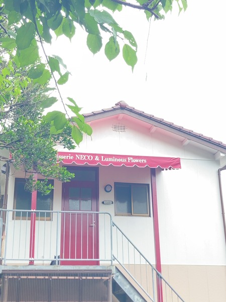 2024.07.03 長崎市油木町 パティスリーねこIMG_1484