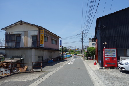 4-¤È¤¹ÌÍÇ·²ðDSC06415