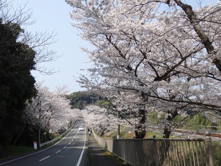 3-DSC08570