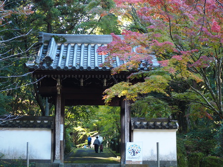 2024.12.02 ����ԡ�ŷʹ��PC020095