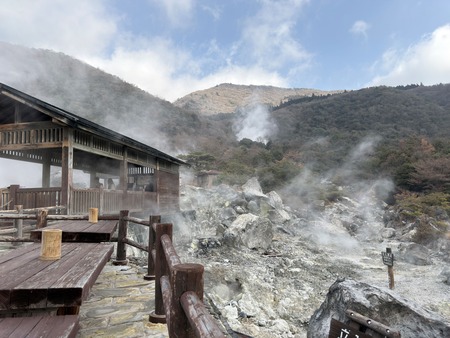 .雲仙地獄 猫IMG_4402