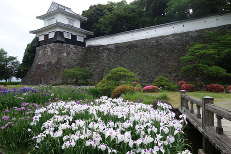 6����¼����DSC08256