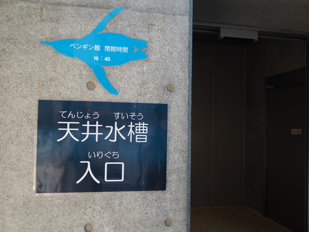 2021.11.14 �����ݻԡ��彽����ư��ʪ�ࡡ�������PB136543