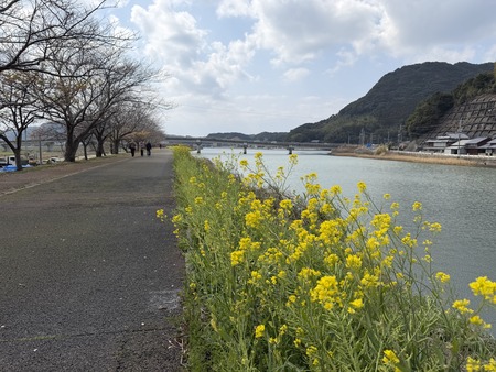 º´¡¹Ä®¤Î²ÏÄźùIMG_0862