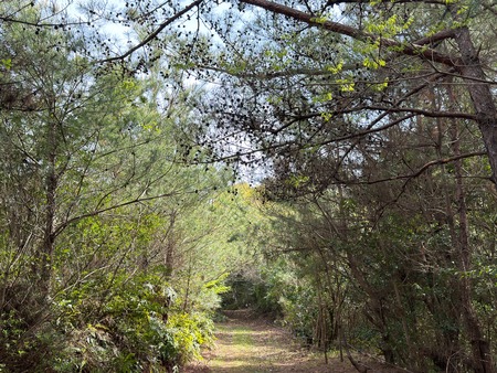 �Ϥ���־��ο�IMG_0349