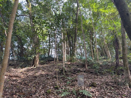 �Ϥ�����ο�IMG_0303