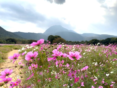 �縶��ĥ���ָ��ॳ���⥹IMG_1887