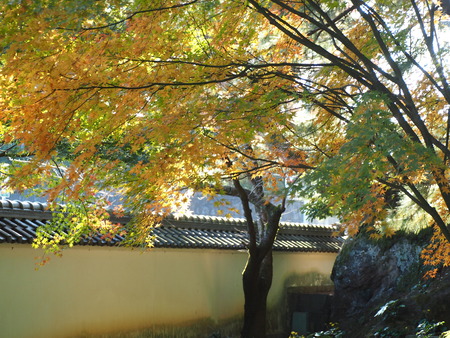 2024.12.02 ����ԡ�ŷʹ��PC020020