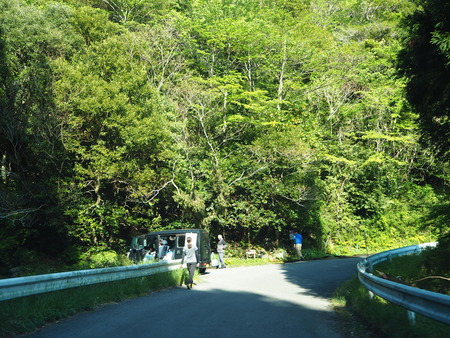 2021.04.24������Թ���Į�����㥯�ʥ�����P4246650