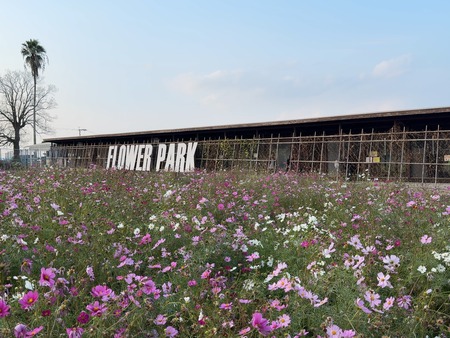 ͭ���ο��ե��ѡ�����ưʪ��IMG_2022