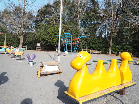 諫早市小長井町 山茶花高原P1161619