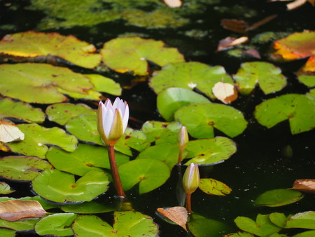 2021.11.21������ԡ��������PB187441