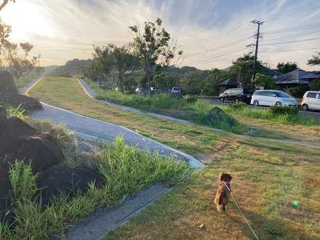 2024.09.06�������դ줢������IIMG_7685