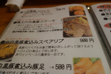 8-������Į������ϻ��DSC06718