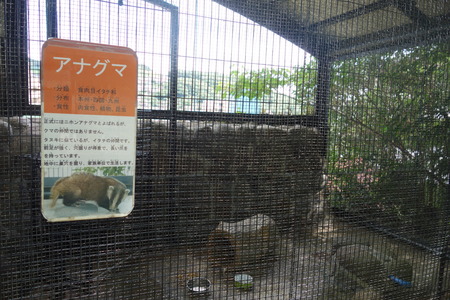 21-Ĺ���ưʪ�Ҥ���DSC09528