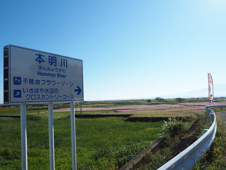 16-£Ê£Ò¥¦¥©¡¼¥¥ó¥°¡¡´ÒÁá»Ô¹âÍèÄ®PA251681