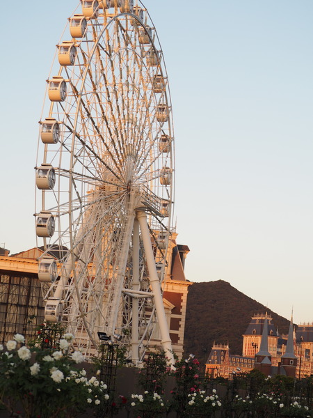 �ϥ����ƥ�ܥ���������PB071572