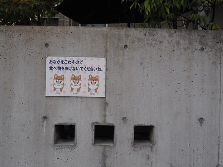 2023.01.14 島原市P1011198