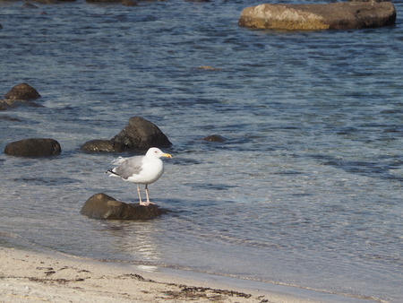 2023.07.24������������Į����곤����쥭���׾�P1018483