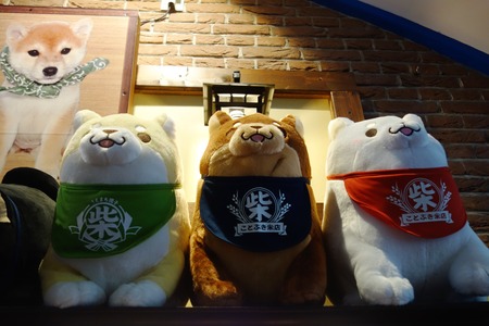 11-豆柴カフェ ハウステンボスDSC09556