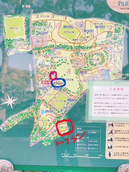 2022.02.13 雲仙市国見町 百花台公園ドックランIMG_8330