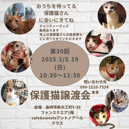 c8fbf948a9f96d0aeb525cb3c9690ee8_page-0001