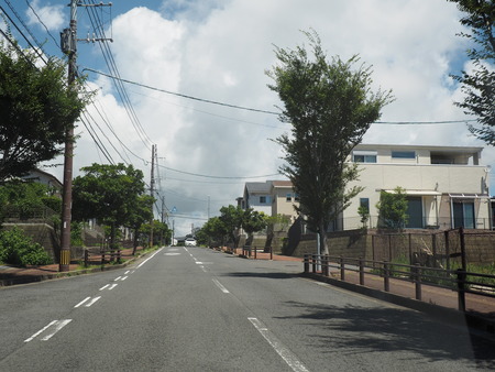 2022.08.03 Ĺ��Ԥ������Τ������ɥ��ե���P8033880