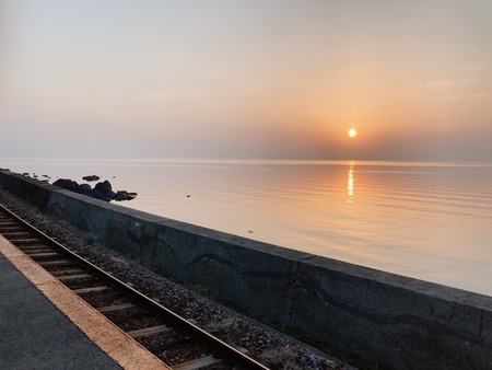 2022.03.12�������Į�����ʱء����ʿ�ƲIMG_0271