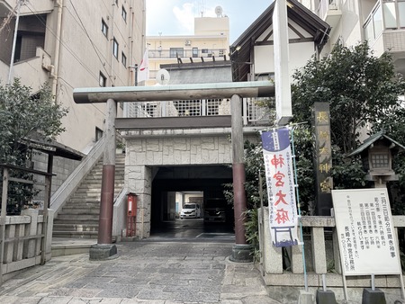 Ĺ�������IMG_5128