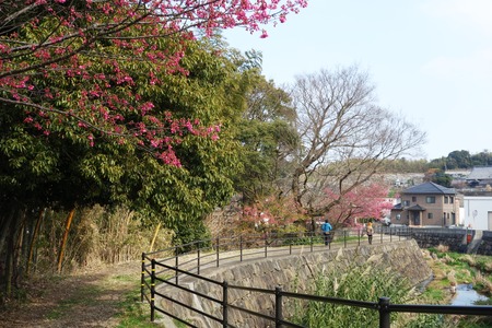 9-国見町 神代小路DSC06490