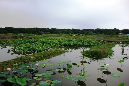 3-���������ϥ���DSC09784