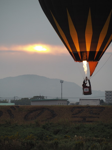 2025¡¡º´²ì¥Ð¥ë¡¼¥ó¥Õ¥§¥¹¥¿P1012646