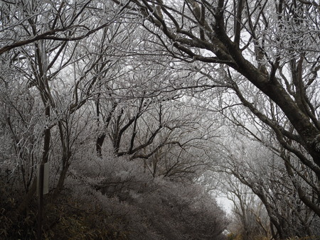 2022.12.03 ±ÀÀç¿ÎÅÄÆ½¡¢Ì¯¸«³Ù¡¡Ì¸É¹P1011706