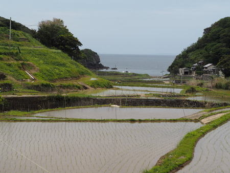2023.05.04 平戸市 春日の棚田P1017277