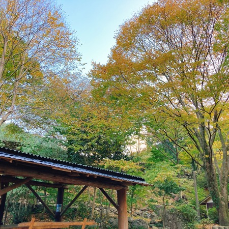 2021.11.12 大村市 黒木民宿キャンプ場IMG_6983