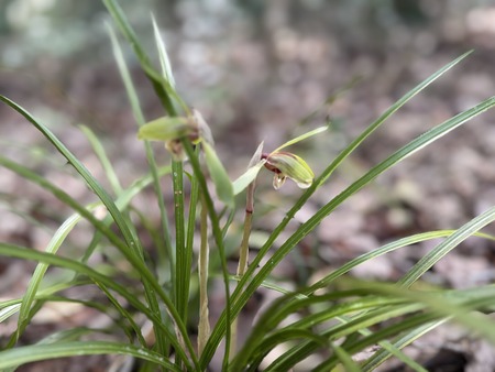 �Ϥ�����ο�IMG_0309