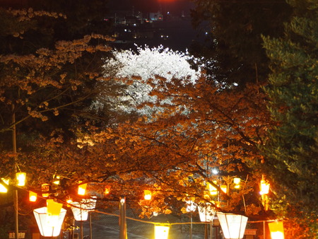 2023.04.01 雲仙市千々石町 橘神社P1011905