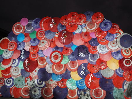 2024.08.25���縶��ޤĤ�P8250072