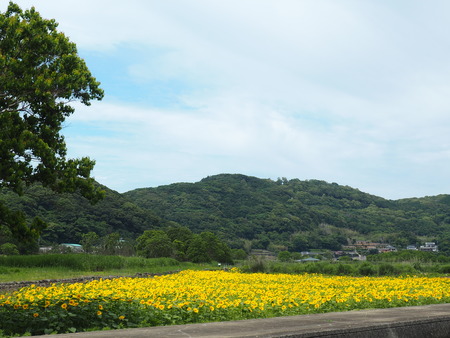 2022.05.31 ����Կ���Į������ϥ���P5291002