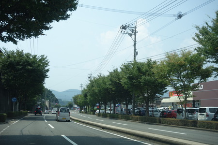 1-Ĺ���ŷ��DSC01481