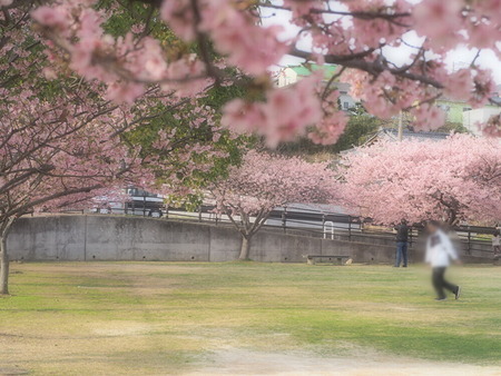 �׸�����_1677938163(1)